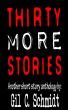 Thirty More Stories by Gil C. Schmidt