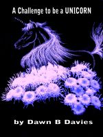 Cover for 'A Challenge to be a Unicorn'