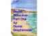 Bondi Detective Part One by david stephenson