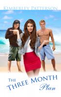 Cover for 'The Three Month Plan'