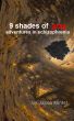9 Shades Of Gray - Adventures In Schizophrenia by Jason Mintel