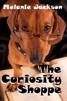 Cover for 'The Curiosity Shoppe'