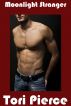 Moonlight Stranger (Heated Encounters #3) by Tori Pierce