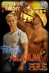 Three Alarm Fire by Stephani Hecht