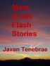 More Erotic Flash Stories by Javan Tenebrae