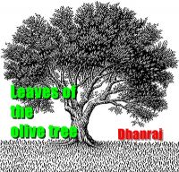 Cover for 'Leaves of the olive tree'