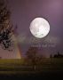 Valley of the Moon by Paula O'Neil