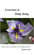 Excursions in Daily Living by Ann Evans