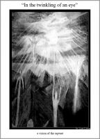 Cover for '"In The Twinkling Of An Eye"'