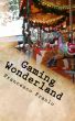 Gaming Wonderland by Francesco Fraulo