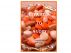 Vitamins to Avoid by Miriam Kinai