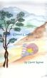 Direct Conflict by David Layman