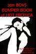 2011 Boyâ€™s Bumper Book of Hot Erotica by Mister Average
