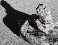 Cover for 'Pile of Stone'