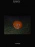 Mr. Pumpkin-Head And Other Poems by Victoria Zigler