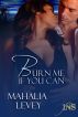 Burn Me if You Can by Mahalia Levey