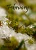 February by Julia Averbeck