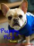 Puppy Pics: Book 1 by Scott Neumyer