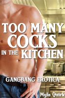 Cover for 'Too Many Cocks in the Kitchen: Gangbang Erotica'