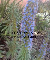 Cover for 'It Stops Now!'
