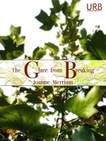 Cover for 'The Glaze from Breaking'