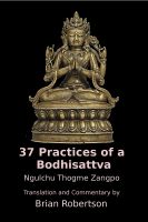 Cover for '37 Practices of a Bodhisattva: The Way of an Awakening Being'