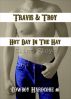 Travis & Troy : Hot Day in the Hay - Hardcore Cowboy / Western Erotica by Clint Floyd