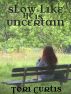 Slow Like He is Uncertain by Tori Curtis