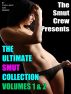 The Ultimate Smut Collection 1 & 2 by Carl S East