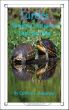 Turtles: Shelled Creatures of Land and Sea by Caitlind Alexander