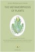 The Metamorphosis of Plants by JW Goethe