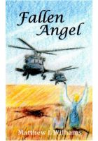Cover for 'Fallen Angel'