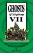 Ghosts of Gettysburg VII: Spirits, Apparitions and Haunted Places on the Battlefield by Mark  Nesbitt