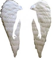 Cover for 'Angels Will band Togeather'