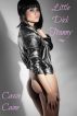 Little Dick Tranny by Cassie Caine