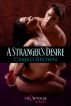 A Stranger's Desire by Cameo Brown