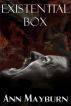 Existential Box by Ann Mayburn
