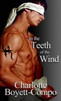Cover for 'In The Teeth Of The Wind'