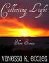 Collecting Light by Vanessa Eccles