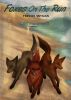 Foxes On The Run by Trevor Snyman