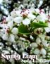 Saving Liam by Sasha L. Miller