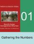 Indian Immigration Stories 01: Gathering the Numbers by Dinesh Verma