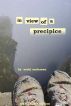 In View of a Precipice by Niehl Anderson