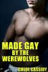 Made Gay By The Werewolves - Four Story Bundle (Gay Werewolf/Shapeshifter Erotica Anthology) by ForbiddenFruitPress