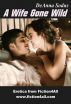 A Wife Gone Wild by DeAnna Sodus