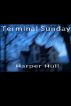 Terminal Sunday by Harper Hull