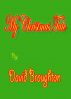 My little Christmas story by David and Linda Broughton