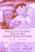 What is Causing the Scary Nighttime Sounds? by A. T. Sorsa