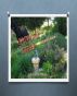 Grow Little Garden  A Children's Poem by Linda Anderson