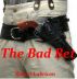 The Bad Bet by Robert Lubrican